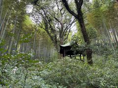 -东明山森林公园