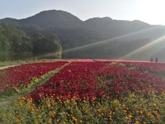 -广州市石门国家森林公园
