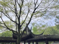 -苏州上方山国家森林公园