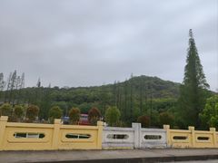 -上海佘山国家森林公园天马山园