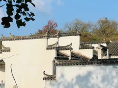 -塔川景区
