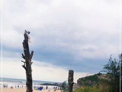 -盐洲岛