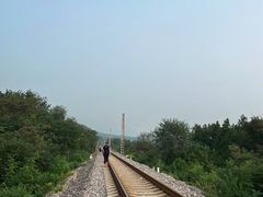 -鹫峰国家森林公园