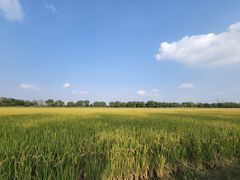 -嘉北郊野公园