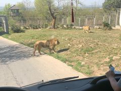 -西安秦岭野生动物园