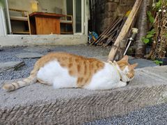 -南枝小馆(银鱼巷店)