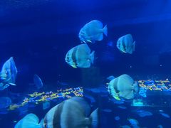 -正佳极地海洋世界