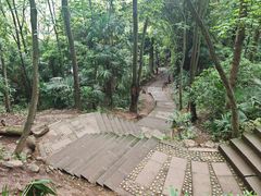 -凤栖山