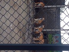 福州市动物园-福州动物园