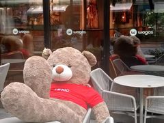 -Wagas沃歌斯(大学路店)