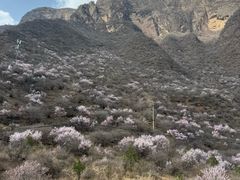 -崆峒山景区