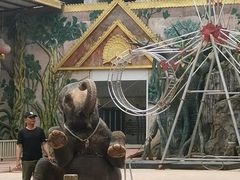 -贵州森林野生动物园