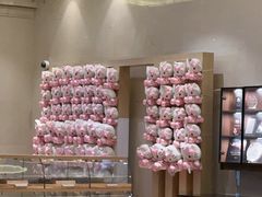 -安吉银润锦江城堡酒店(Hello Kitty主题乐园店)