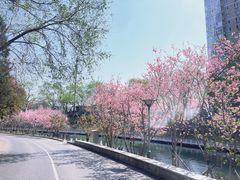 -皇家御河游(紫御湾码头)