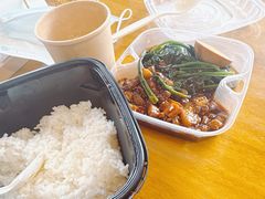 -上海野生动物园老虎餐厅