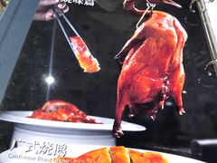 -港升鱼师傅·中山脆肉鲩