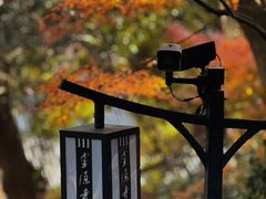 -灵顺寺