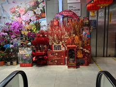 -盒马鲜生(大成店)
