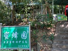 -深圳仙湖植物园