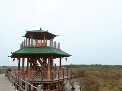 -北海金海湾红树林生态旅游区