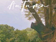 -荔香公园
