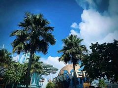 -新加坡摩天观景轮