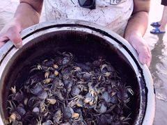 -南汇嘴观海公园