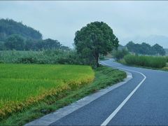 -良渚古城遗址公园