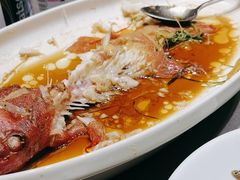 -骏莱海鲜鱼港(五角场店)