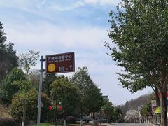 -万佛湖许老大铁锅鱼(黑金冠店)