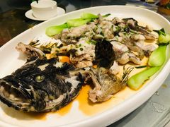 -海蓝海鲜馆(五四北店)