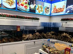 -北塘海鲜·天津菜·鲅鱼水饺是一绝(大光明桥旗舰店)