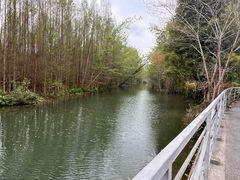 -桤木河湿地公园