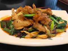 -陈麻婆豆腐总店