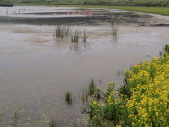 iphone_upload_pic-月亮湖