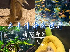 -太平洋海底世界