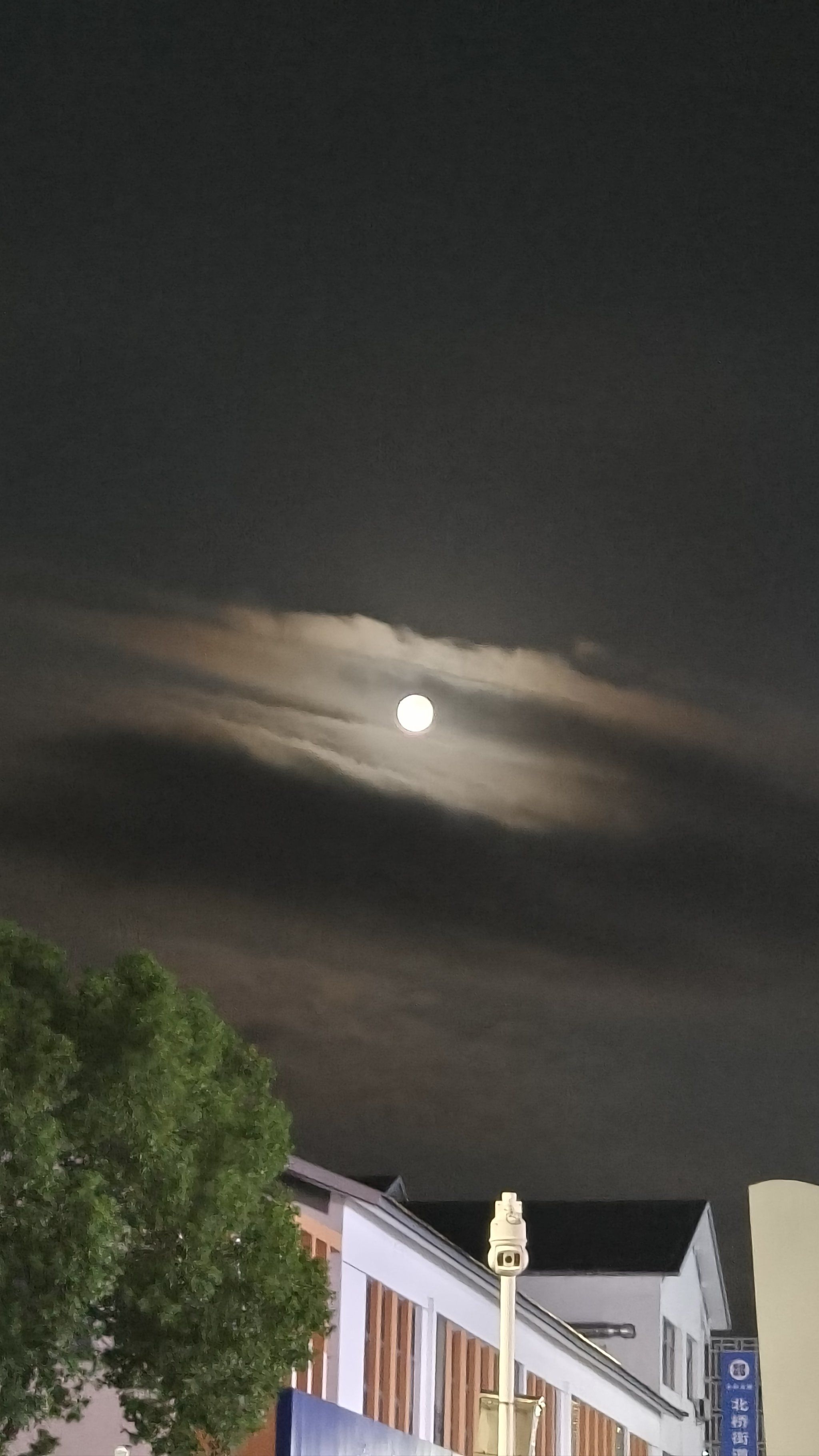 夜空下的月亮话