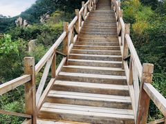 -大岭沟猕猴桃谷风景区