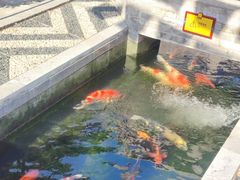 -西安市广仁寺