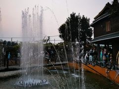 -呀路古热带植物园