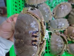-众味海鲜大排档·活海鲜·潮汕味(南澳店)