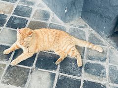 -平安桥天主教堂