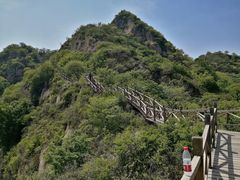 -大岭沟猕猴桃谷风景区