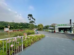 -江门古劳水乡旅游区