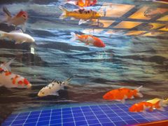 -悠然湯·汗蒸汤泉会馆