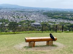 -奈良公园