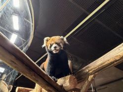 -Zoolung Zoolung动物主题公园(海信广场店)