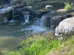 -白水寺森林公园