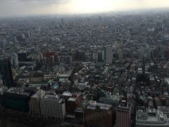 -东京都厅舍