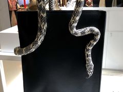 -白木黑冰(北京朝阳合生汇店)